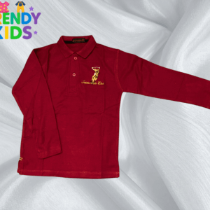 Boys Shirts 2–10 Years in Pakistan Trendy Kids