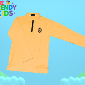 Trendy Kids Boys Shirts (Age 2–10 Years)